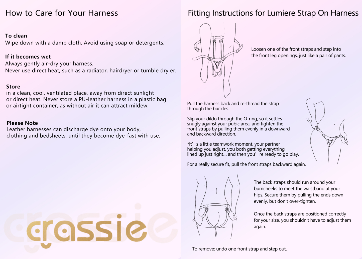 Lumiere Leather Strap On Harness