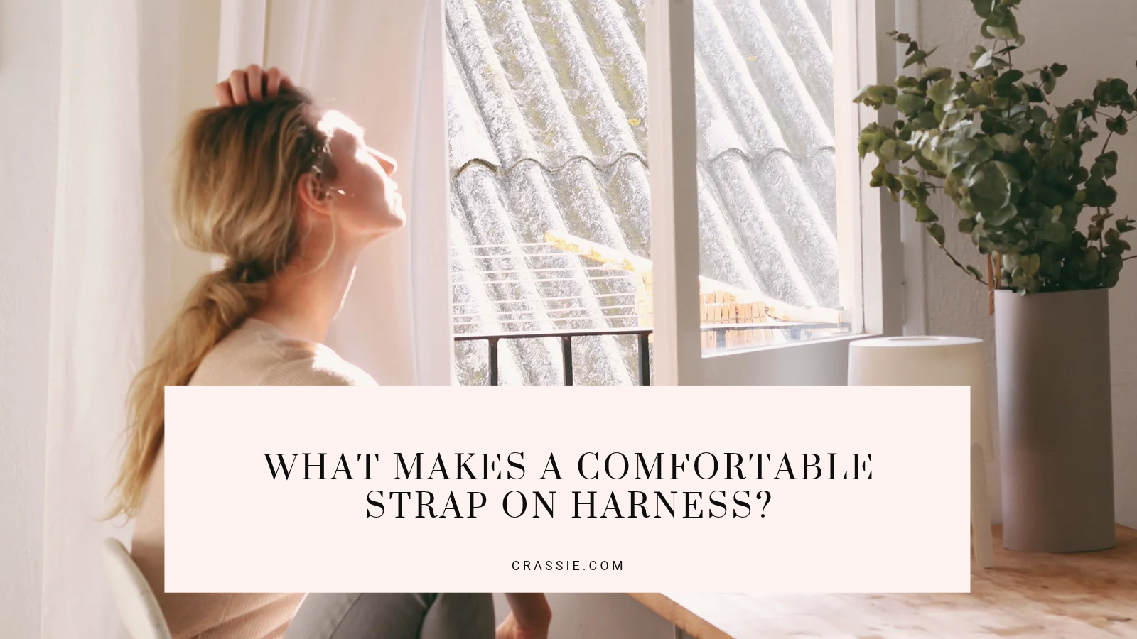 What Makes a Comfortable Strap On Harness?