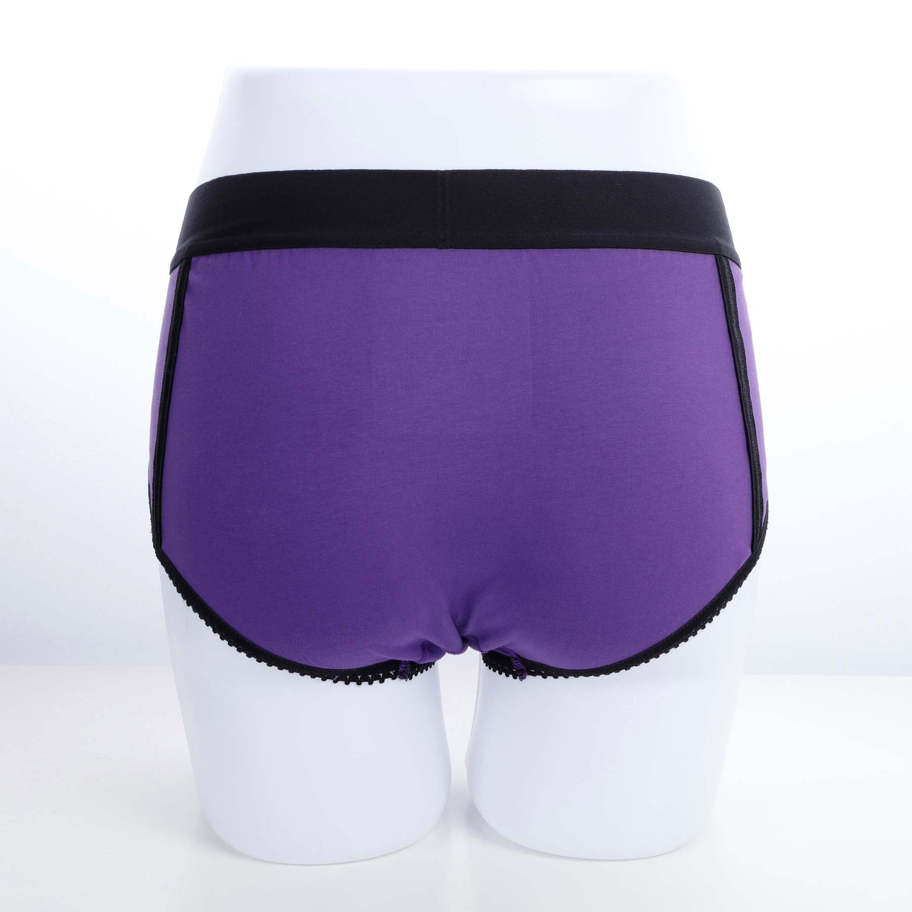 Purple Strap On​ With Harness Briefs And Blue Dildo set