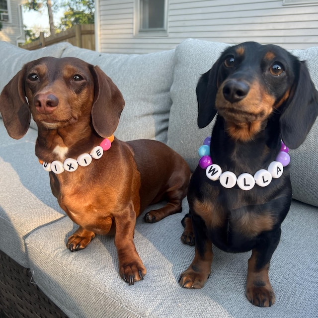Personalized Beaded Dog Collar (Customizable)
