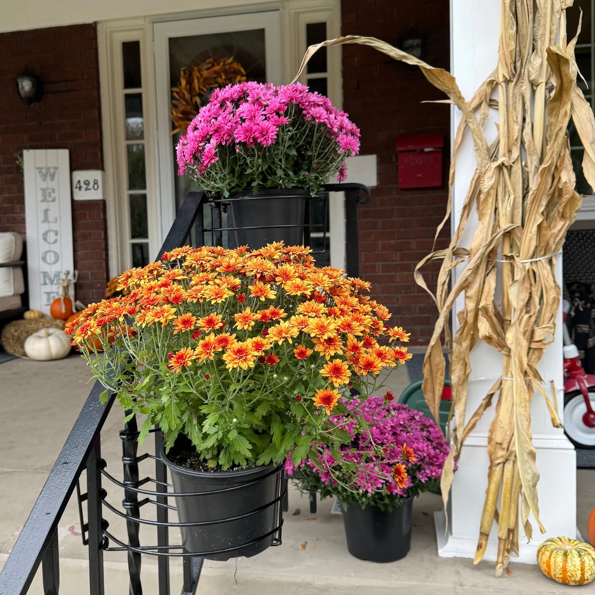 Domiple™ Vertical Gardening Clips