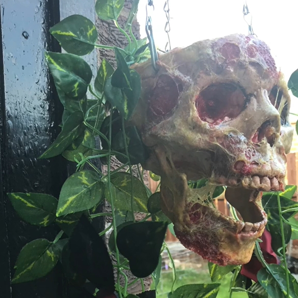 Skull Hanging Basket