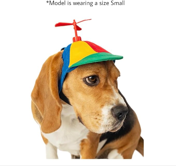 Propeller Dog Hat