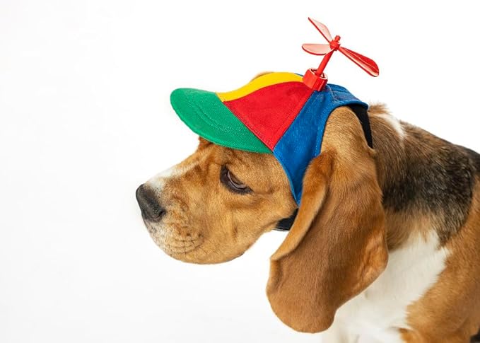 Propeller Dog Hat