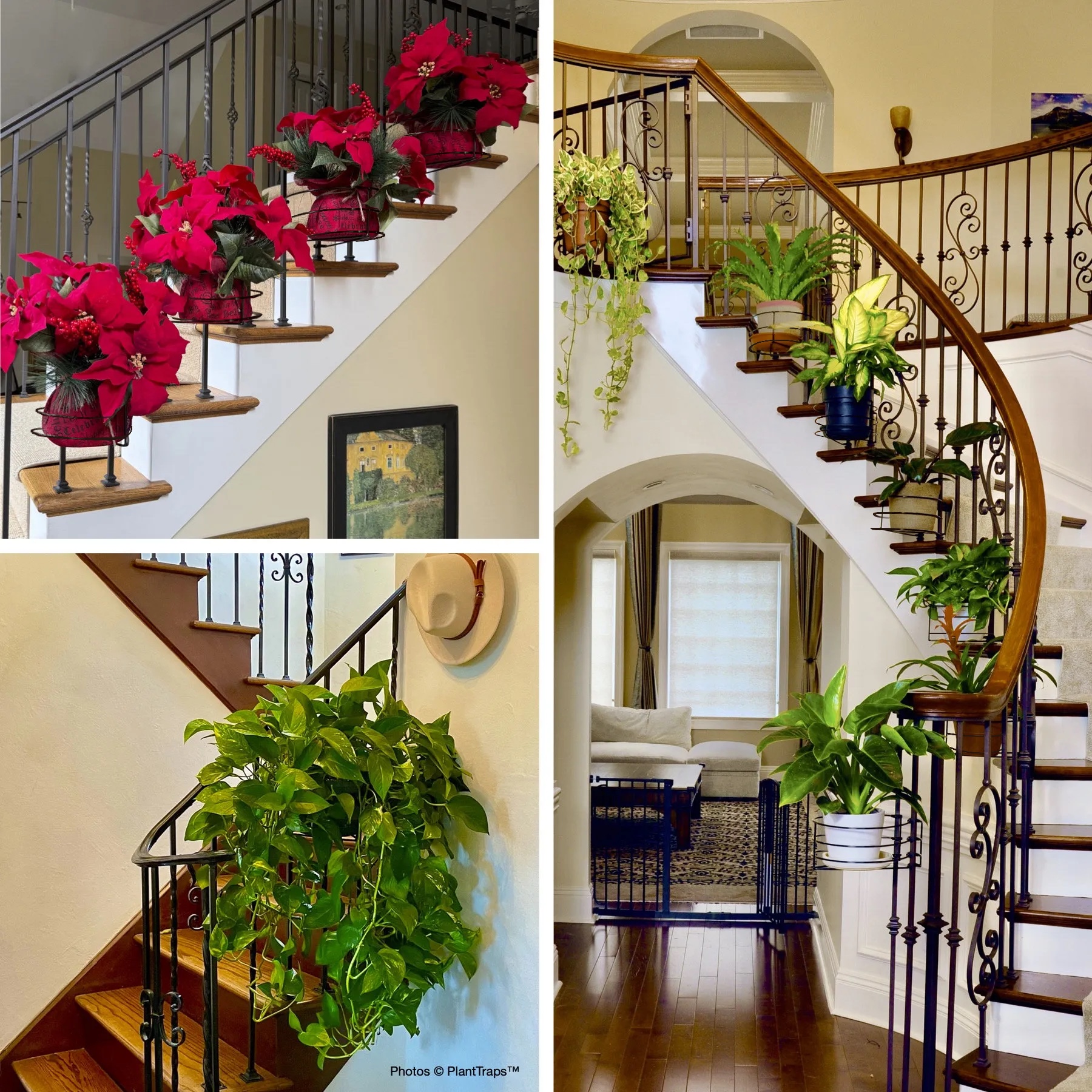Domiple™ Vertical Gardening Clips