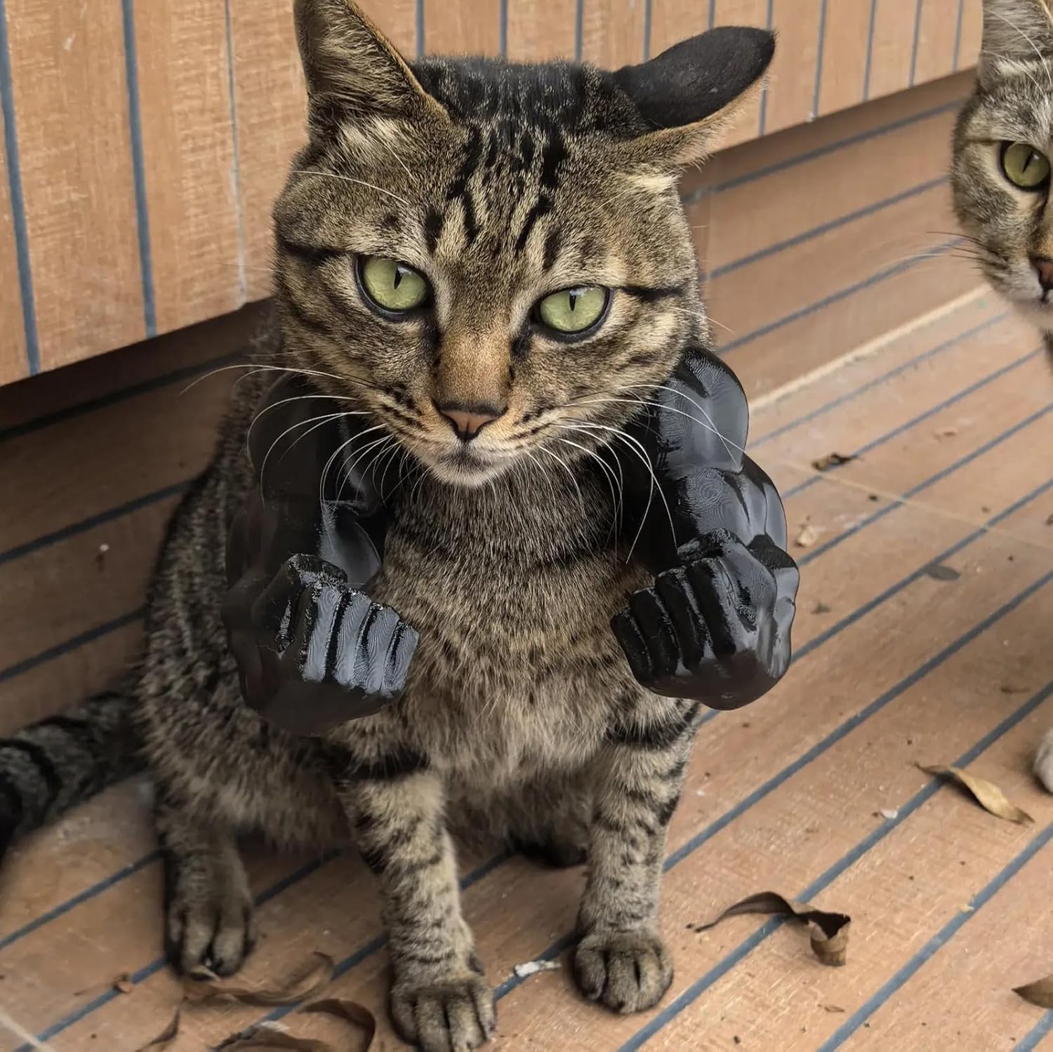 🔥 Creative Pets Giant Arm💪