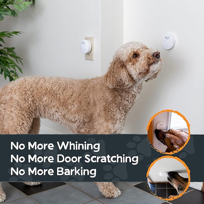 Wireless Smart Dog Doorbell