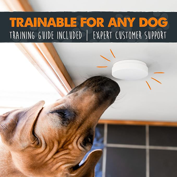 Wireless Smart Dog Doorbell