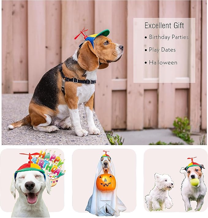 Propeller Dog Hat