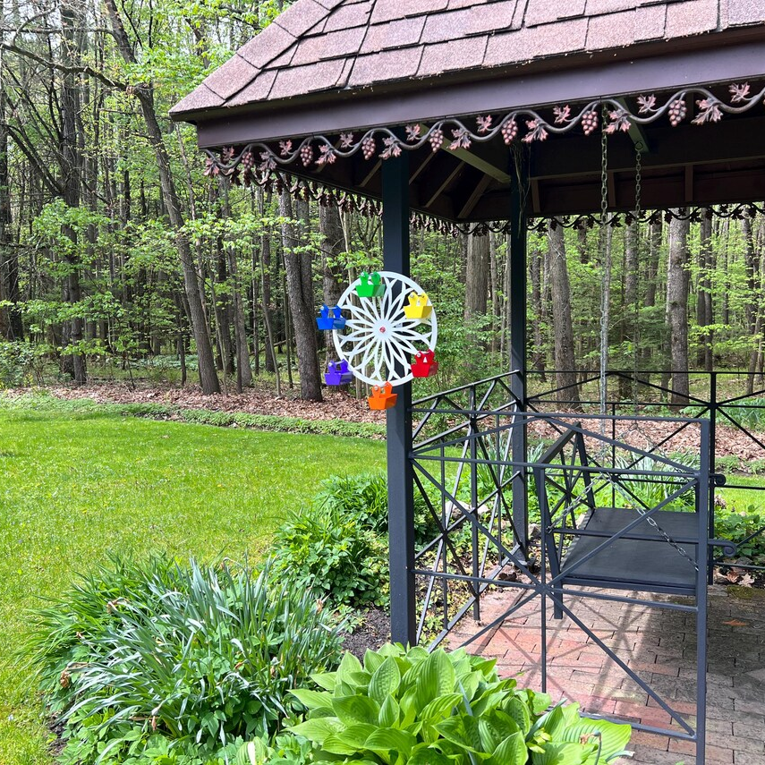 The Ferris Wheel of Fun for Your Feathered Friends