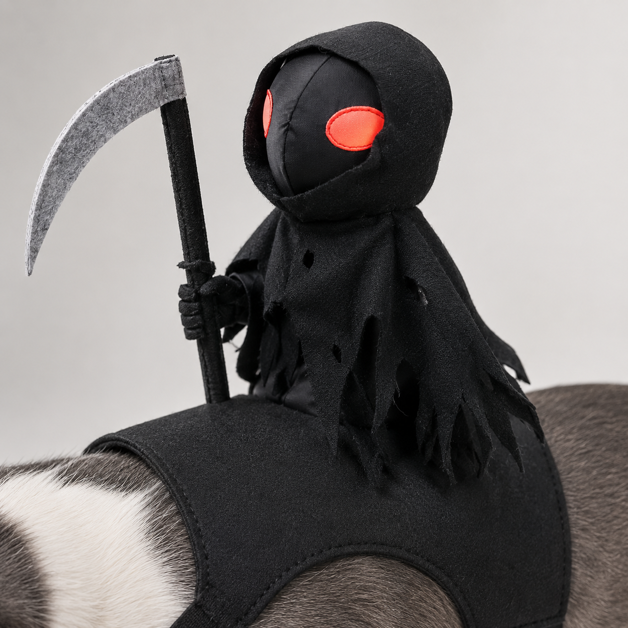 Dark Harvest Knight Transformation Pet Costume - One Tiny Rider. A Whole Lot of Howls.