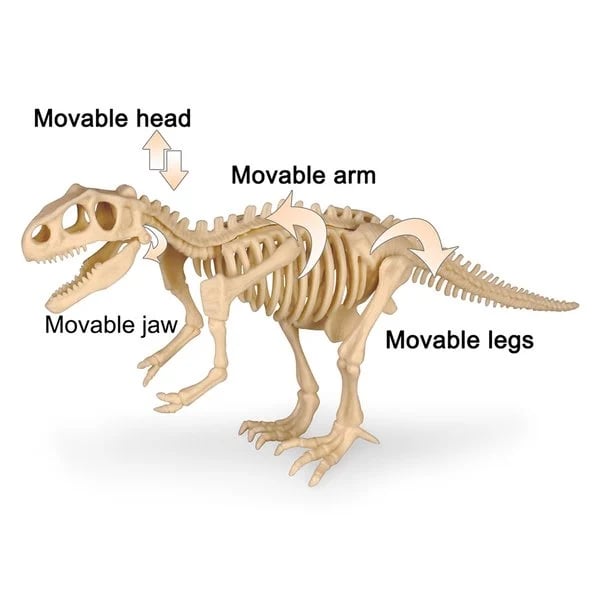 ( Hot Sale- 49% OFF) Dinosaur Fossil Digging Kit--Buy 2 Free Shipping