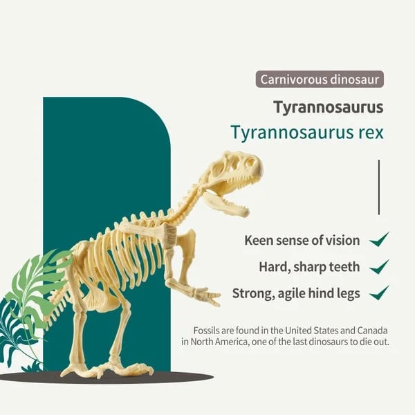 ( Hot Sale- 49% OFF) Dinosaur Fossil Digging Kit--Buy 2 Free Shipping