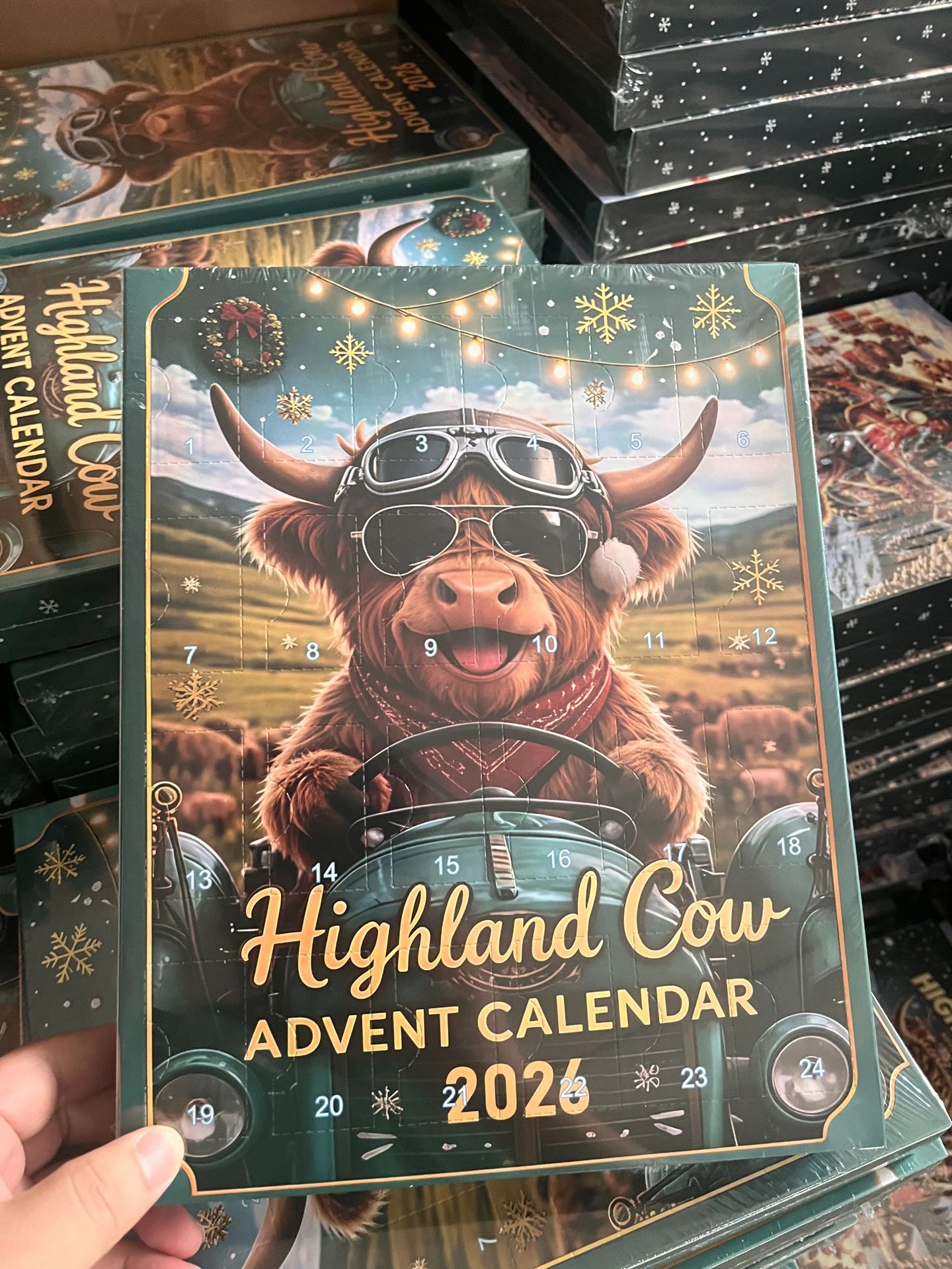 DOMIPLE | 🖤 Early Black Friday Deals 49% Off 🐂🎁 2026 Highland Cow Advent Calendar