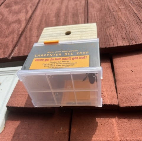 Domiple™ Carpenter Bee Trap