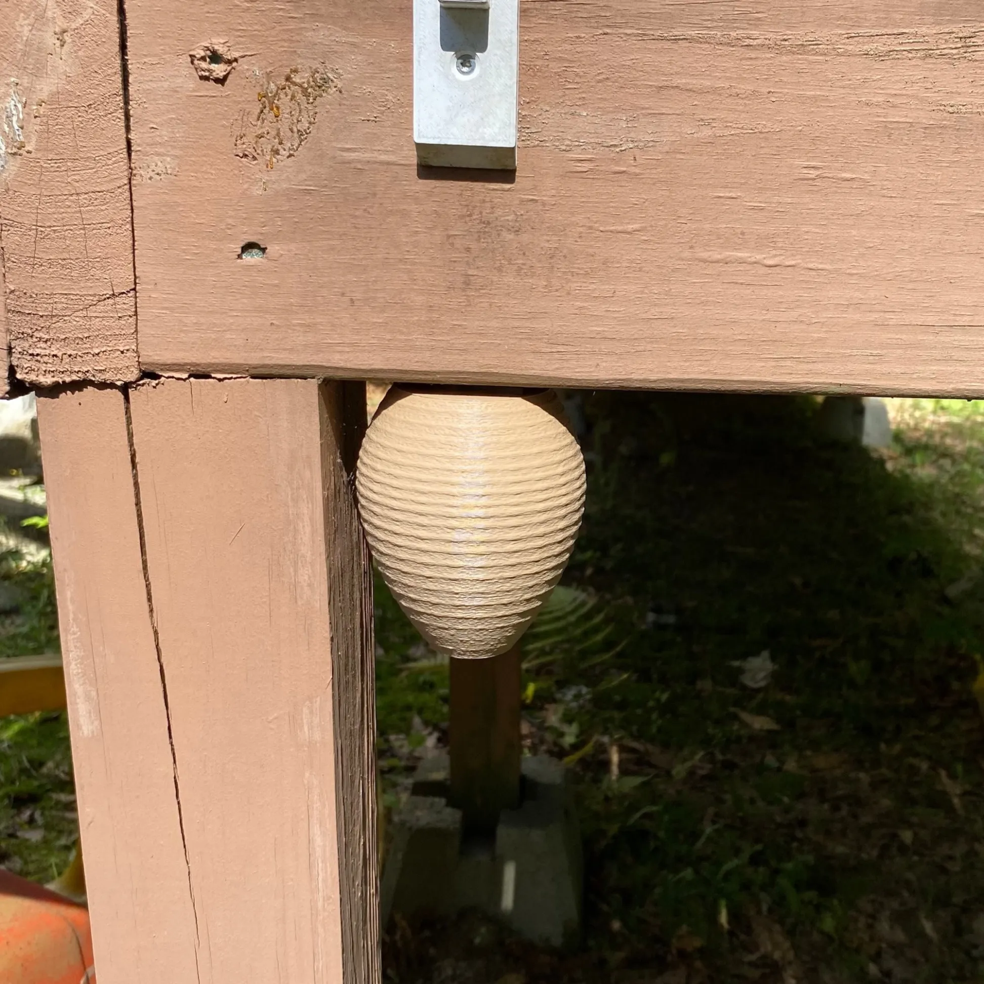 🐝Decoy Wasp Nest - Stop Wasps from Building Nests Around Your House
