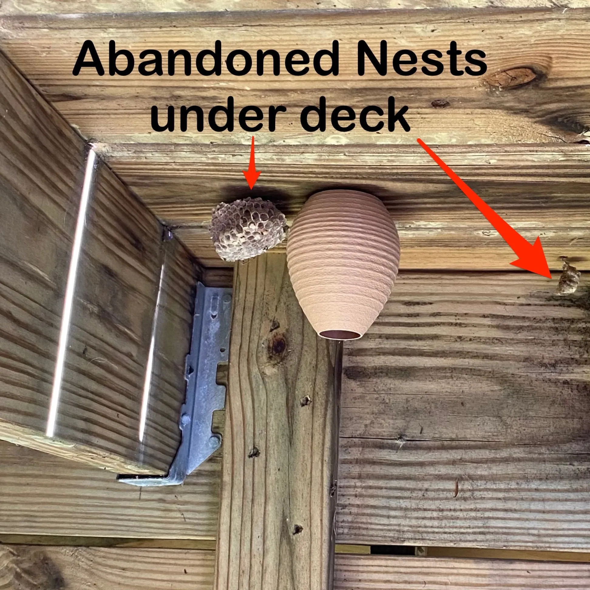 🐝Decoy Wasp Nest - Stop Wasps from Building Nests Around Your House