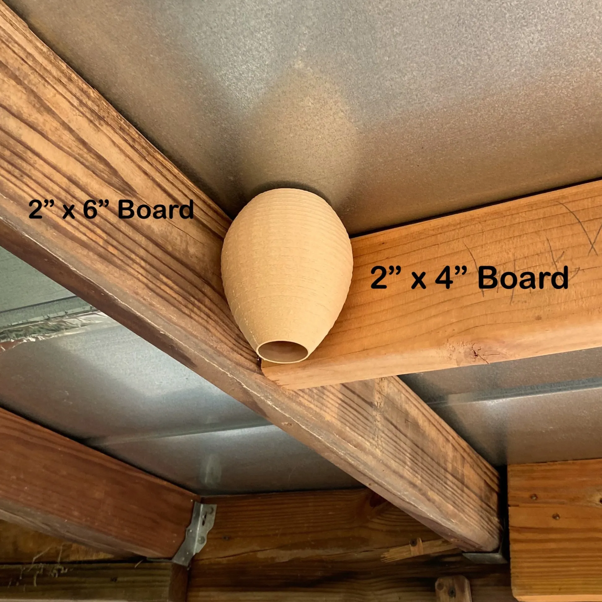 🐝Decoy Wasp Nest - Stop Wasps from Building Nests Around Your House