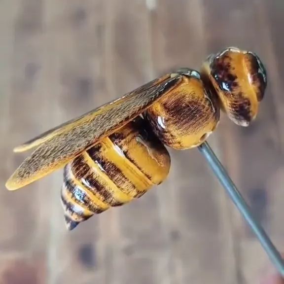 wooden honeycomb