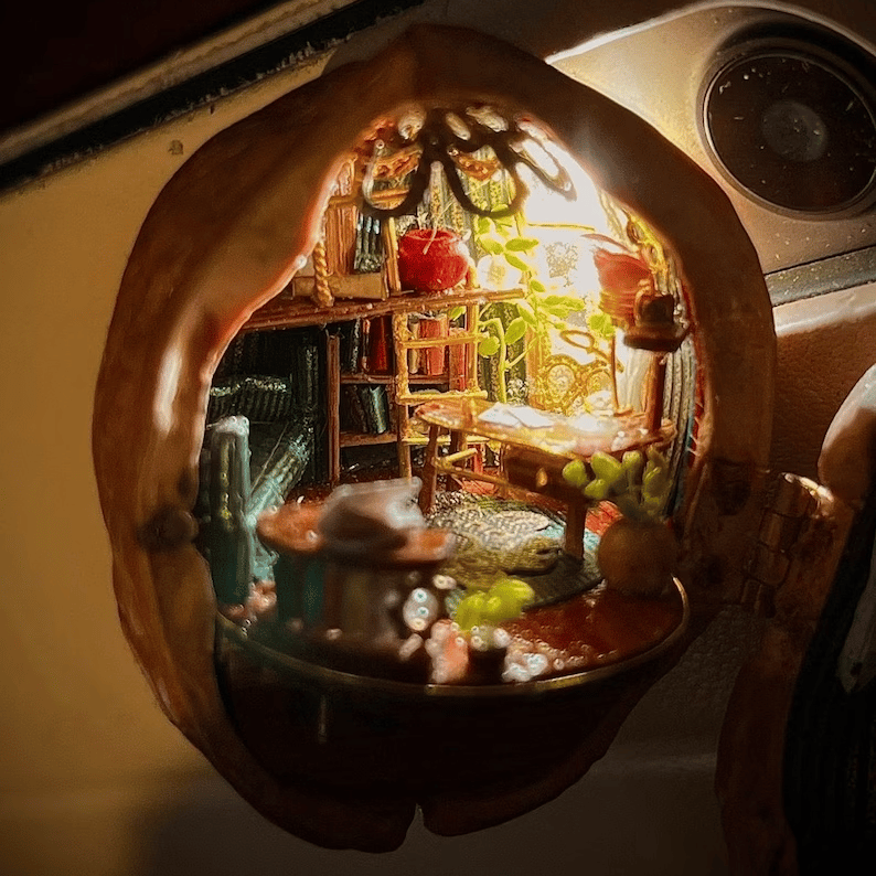 Handmade.🏠Walnut Shell doll house--mini library, tiny World inside wa