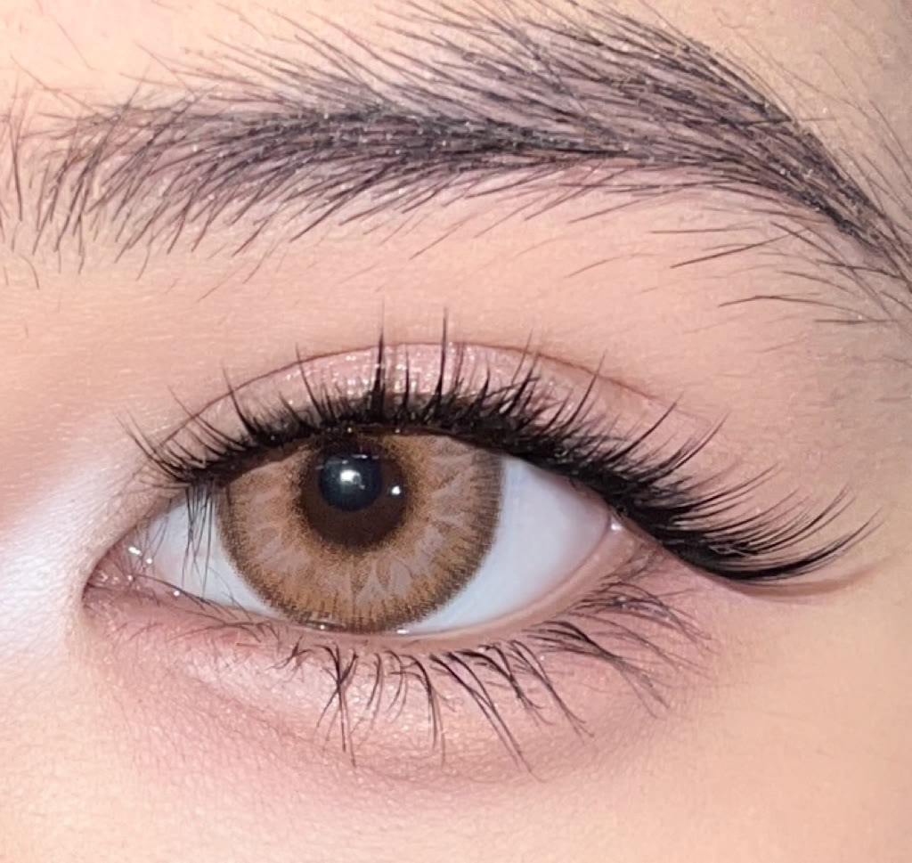 MYEYEBB Nocturne Brown Prescription Colored Contact Lenses丨6 Months - image 8