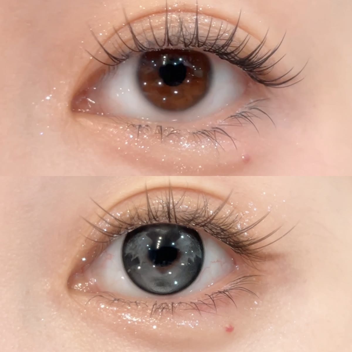 MYEYEBB Night Hunter Black Cosplay Colored Contact Lenses - image 2