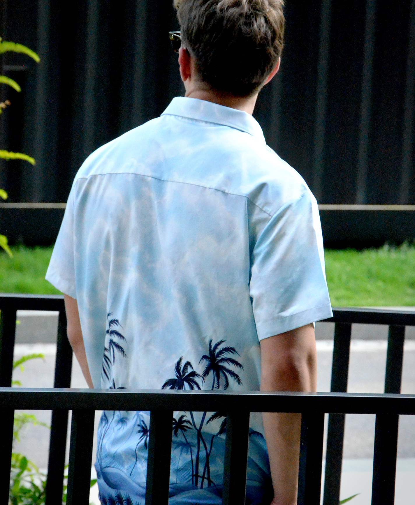 Men's Hawaiian Tropical Beach Print Button Down Shirt, Short Sleeve, Light Blue Palm Tree Design