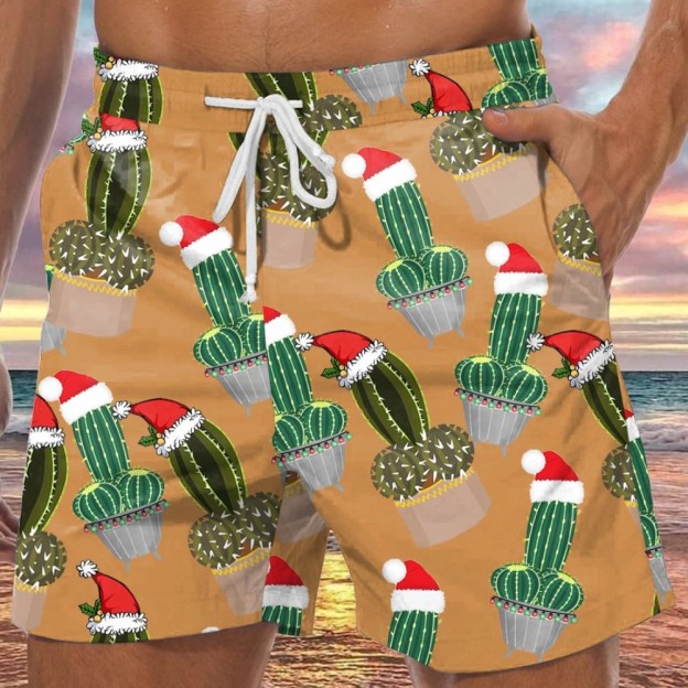 Men's Funny Cactus Christmas Print Shorts