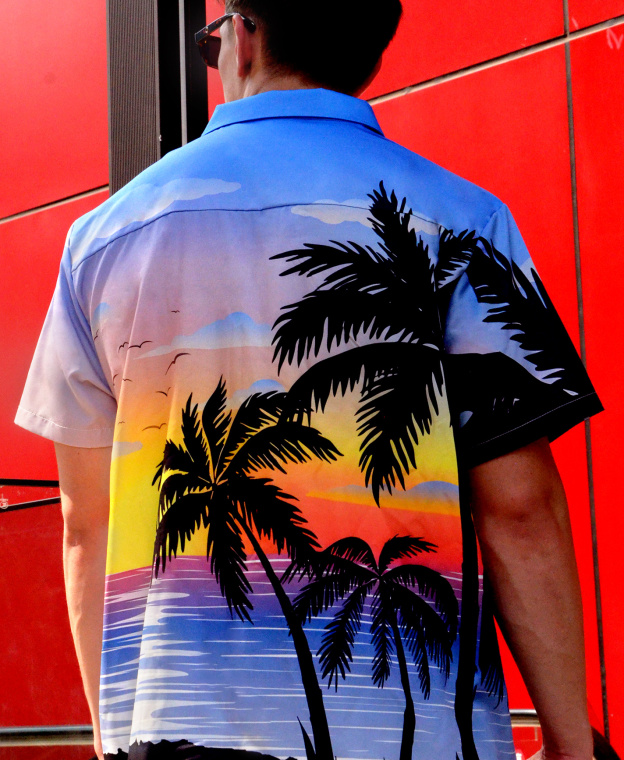 Men's Hawaiian Beach Sunset Print Button Down Shirt, Short Sleeve, Tropical Palm Trees Design