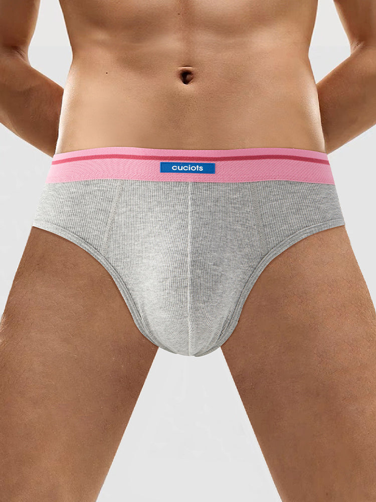 Orlvs-underwear-2 Pack Men's U-Pouch Modal Support Breathable Briefs-gay-underwear
