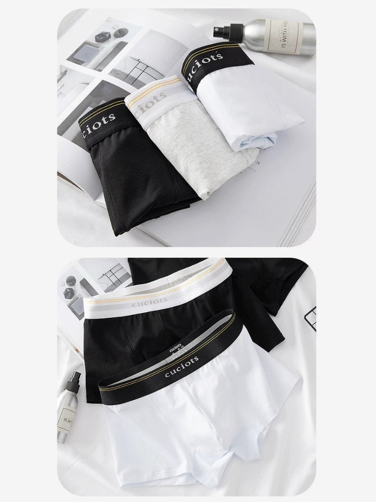 Orlvs-underwear-2 Pack Men's U-Pouch Cotton Moisture Wicking Trunks-gay-underwear