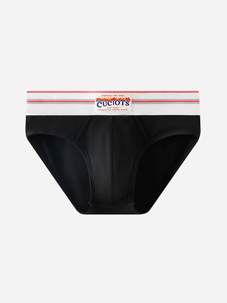 Orlvs-underwear-2 Pack Men's Modal U-Pouch Anti-Cling Breathable Quick Dry Briefs-gay-underwear