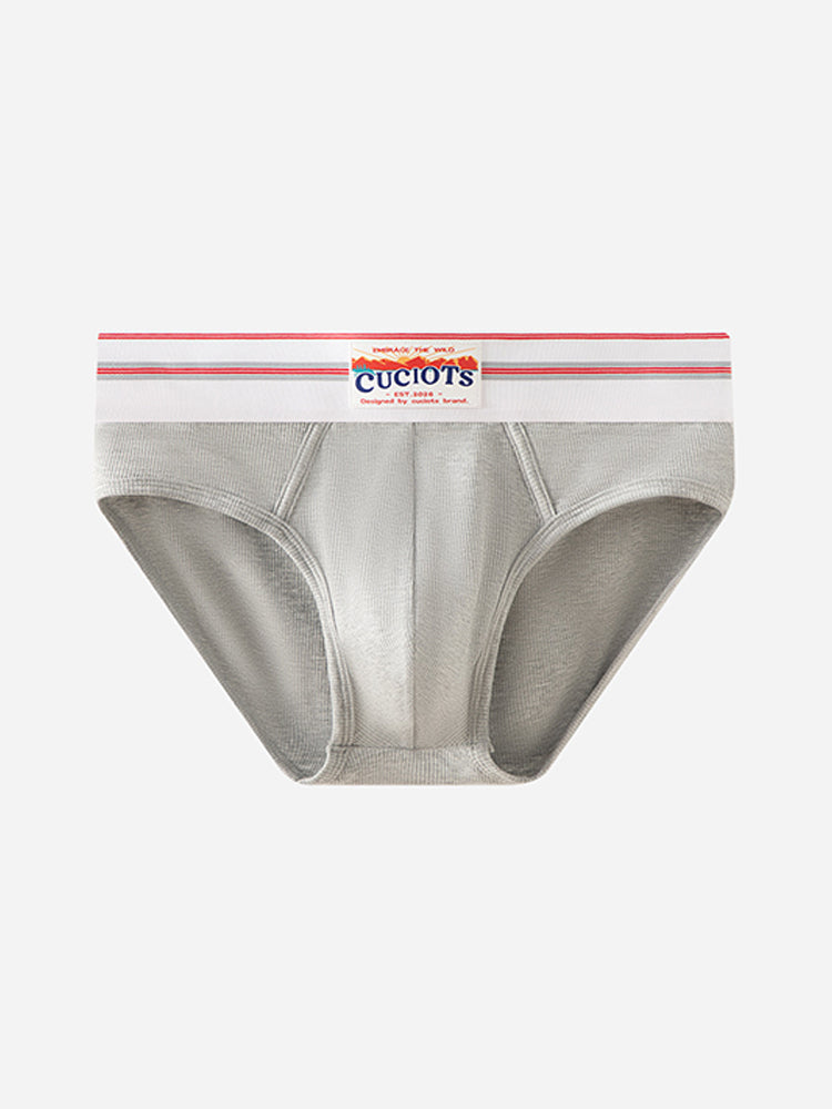 Orlvs-underwear-2 Pack Men's Modal U-Pouch Anti-Cling Breathable Quick Dry Briefs-gay-underwear