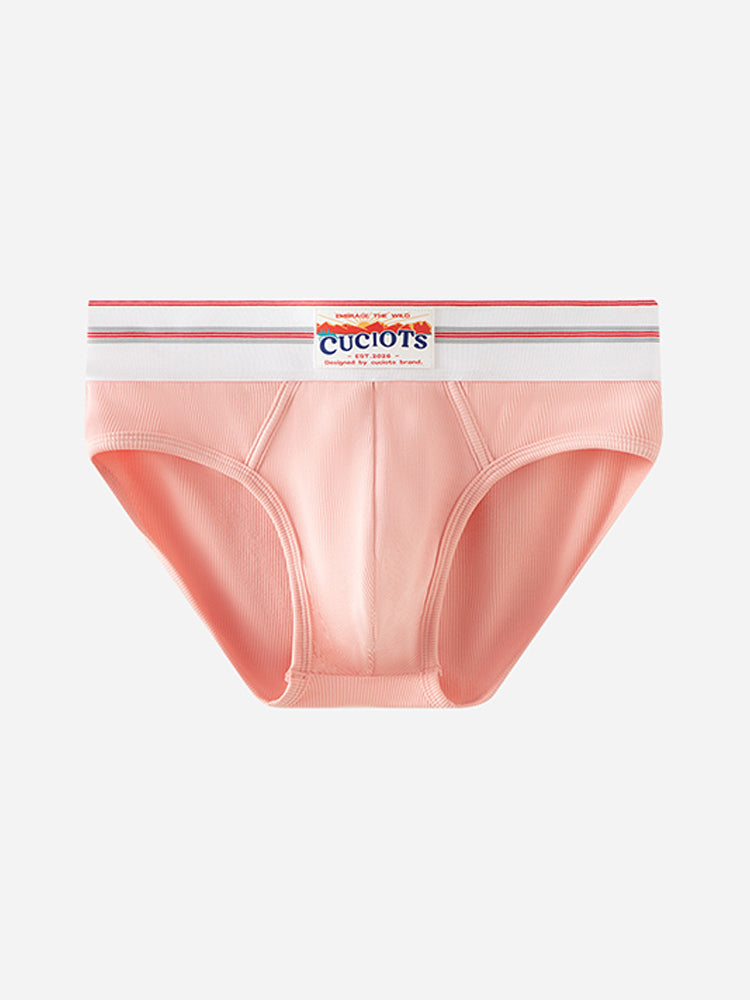 Orlvs-underwear-2 Pack Men's Modal U-Pouch Anti-Cling Breathable Quick Dry Briefs-gay-underwear