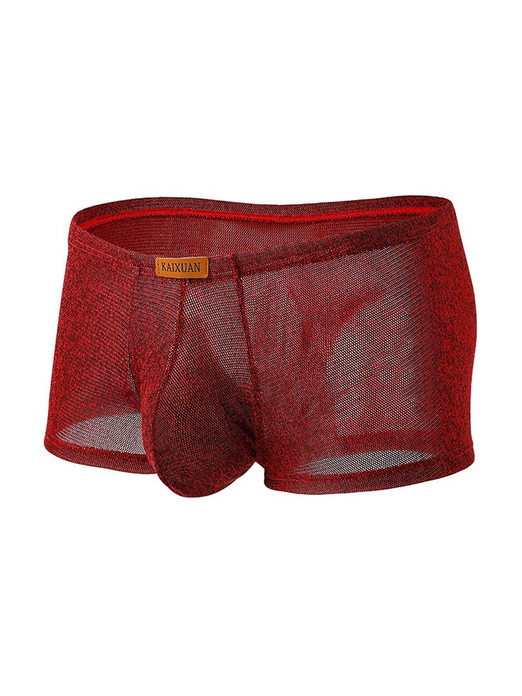 ORLVS Men's 3-Pack Separate Pouch Trunks with Scale Pattern and Mesh