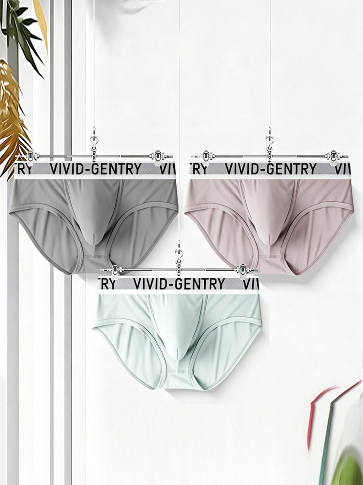 ORLVS Men's 3-Pack Mesh Pouch Briefs with Molded Design