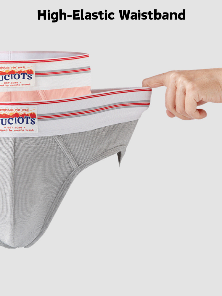 Orlvs-underwear-2 Pack Men's Modal U-Pouch Anti-Cling Breathable Quick Dry Briefs-gay-underwear