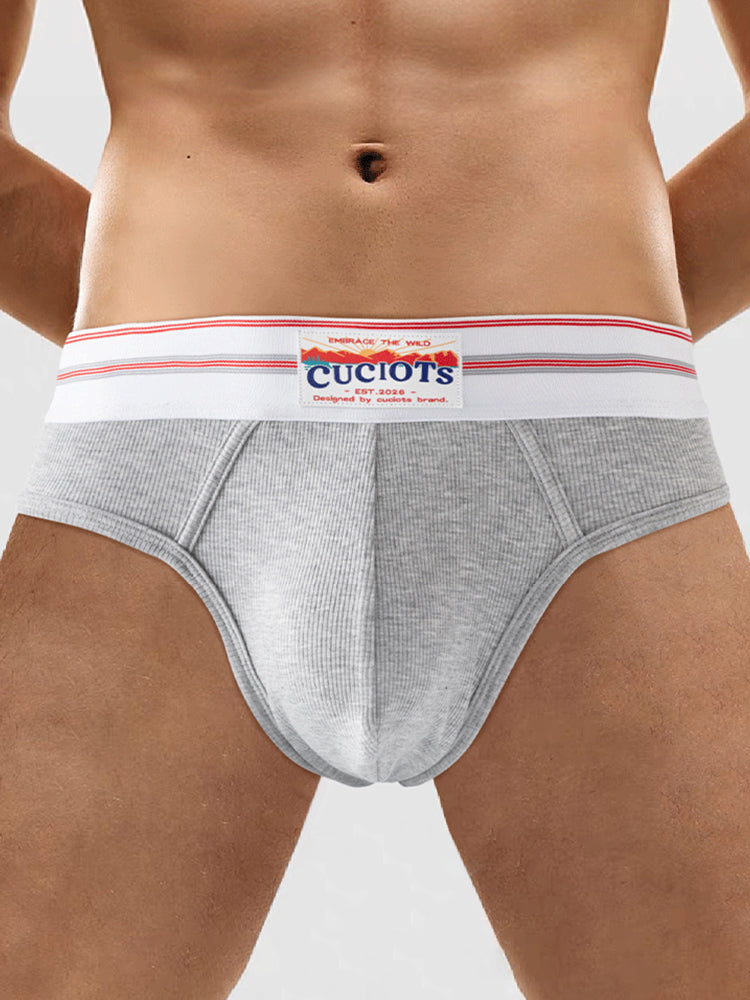 Orlvs-underwear-2 Pack Men's Modal U-Pouch Anti-Cling Breathable Quick Dry Briefs-gay-underwear