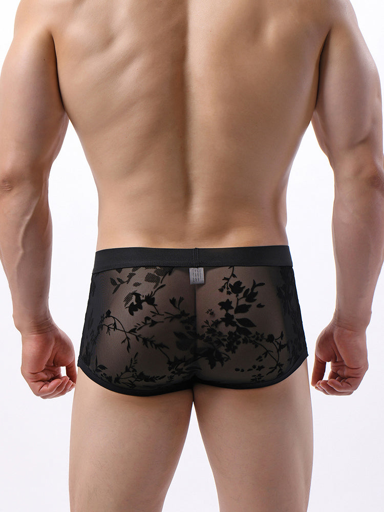 ORLVS Men's 3-Pack Lace Trunks with Floral Jacquard and Sheer Body