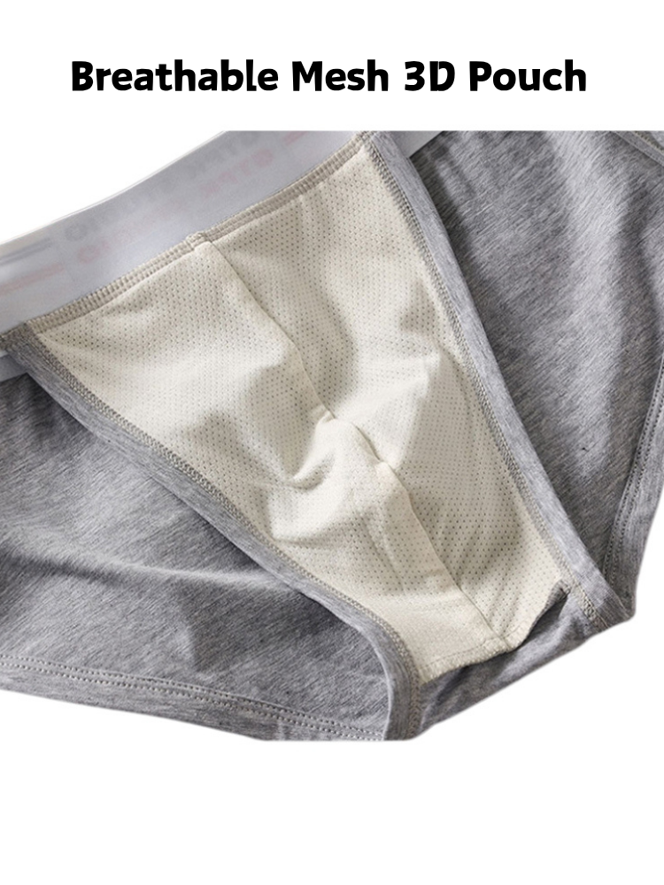 ORLVS Men's 3-Pack Mesh Pouch Briefs with Wide Waistband