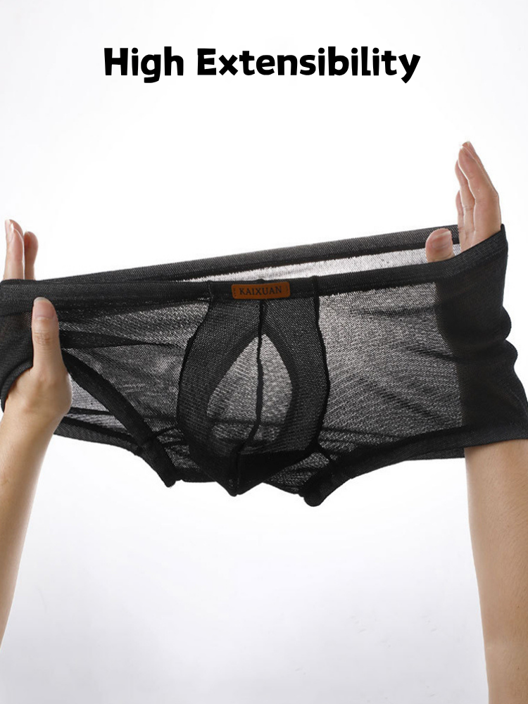 ORLVS Men's 3-Pack Separate Pouch Trunks with Scale Pattern and Mesh