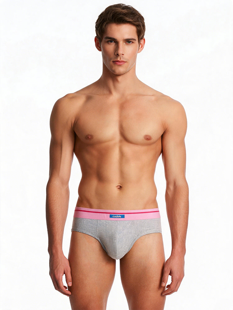 Orlvs-underwear-2 Pack Men's U-Pouch Modal Support Breathable Briefs-gay-underwear