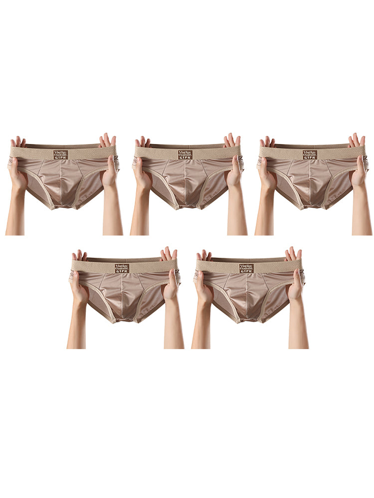 ORLVS Men's 5-Pack Satin Briefs with 3D Mesh Pouch and Embossed Waistband