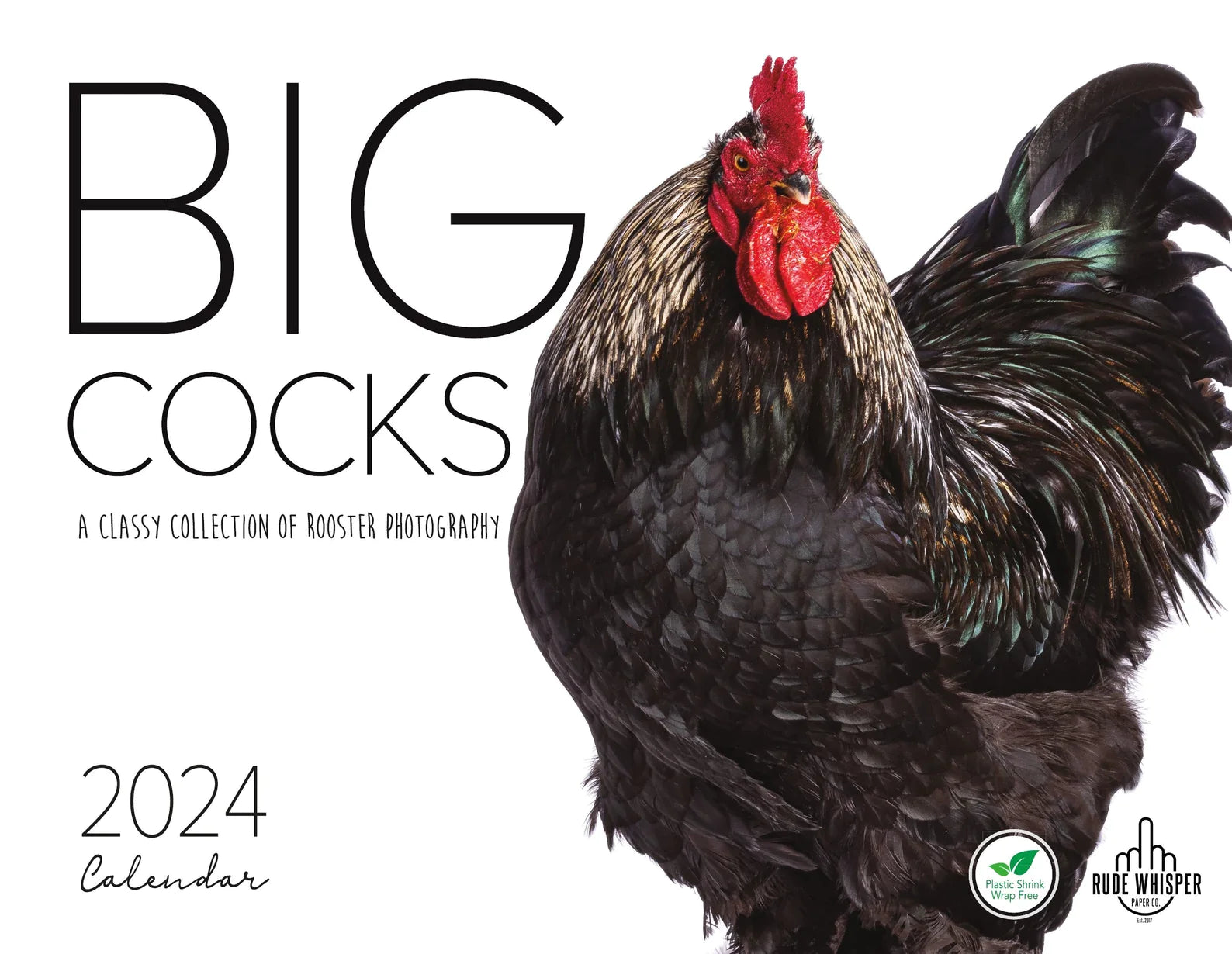 Big Cocks 2024 Wall Calendar A Classy Collection of Rooster Photos