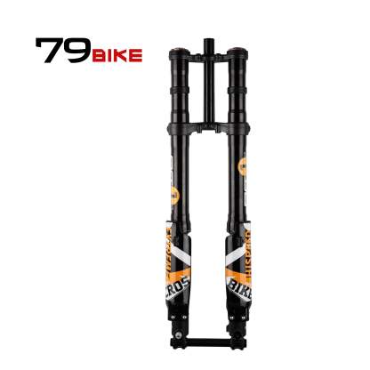 EBIKE Falcon Pro