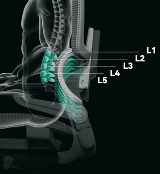 FlexiLumbar 5-Level Adjustable Heights FlexiLumbar 5-Level Adjustable Heights