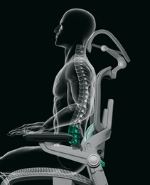 Sit up Straight Sit up Straight