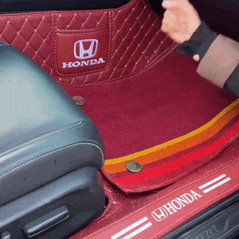 1703576667656786.gif giphy (1).gif