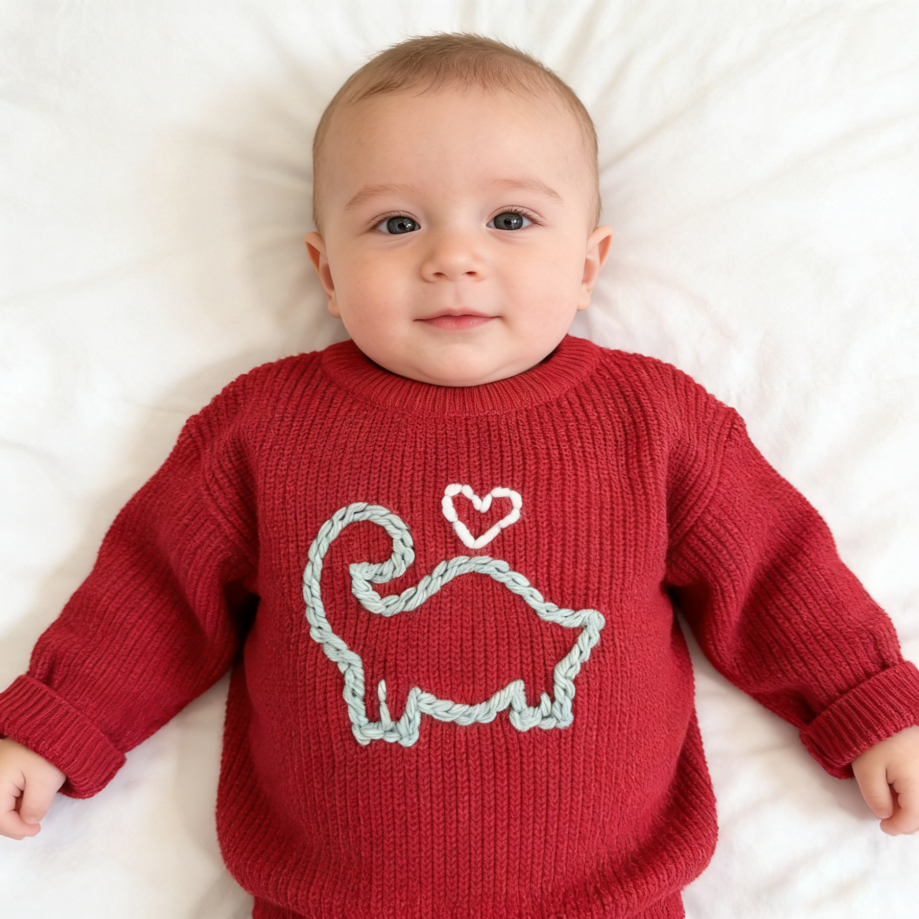 Baby Dinosaur Valentine's Day Sweater