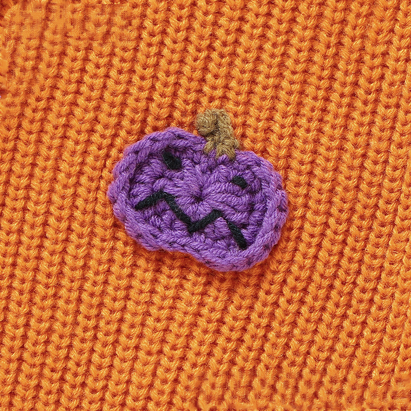 Baby Pumpkin Embroidery Sweater